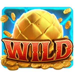 เครื่องหมาย Wild