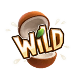 เครื่องหมายพิเศษ Wild