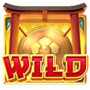 เครื่องหมายพิเศษ Wild